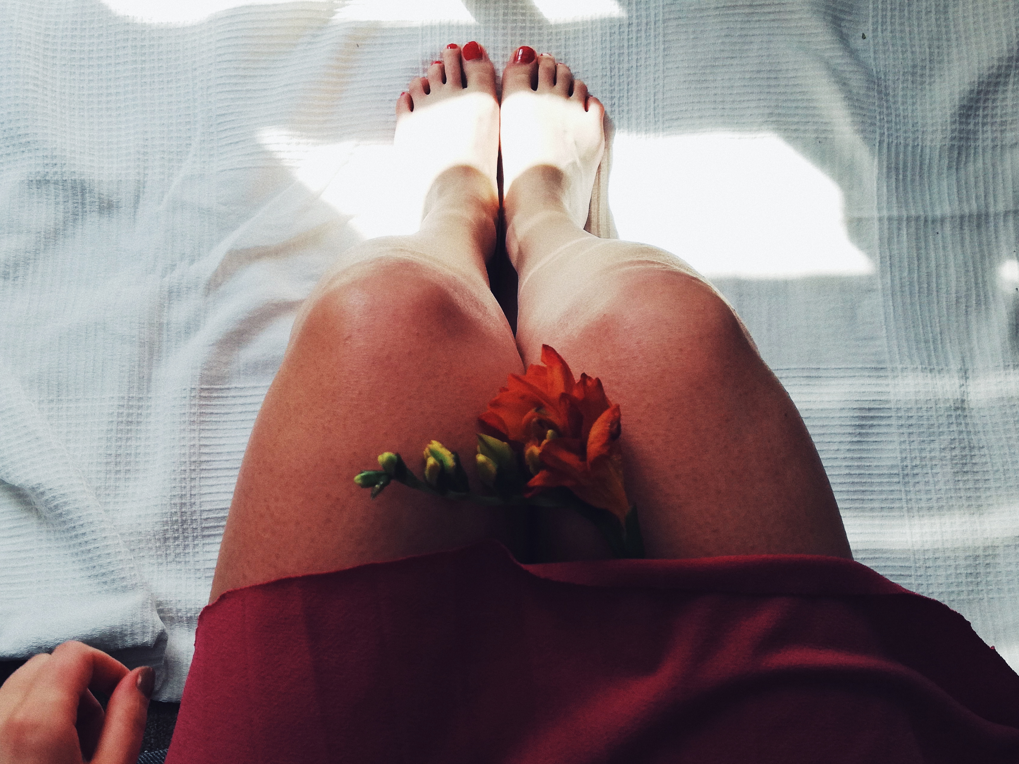 nogi, słońce, kwiaty